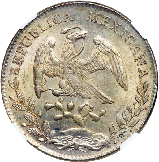 File:Mexico 1891Zs 8 reales rev Goldberg 70-4337.jpg