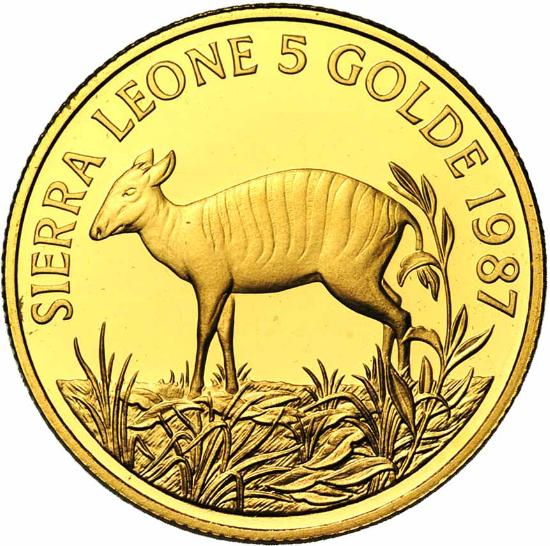 File:Sierra Leone 1987 5 golde rev JElsen 113-1588.jpg