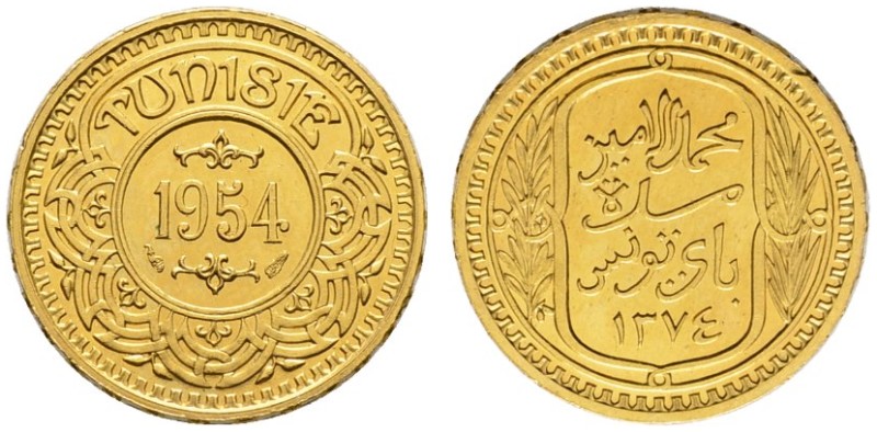 File:Tunisia Sincona 23-03219q00.jpg
