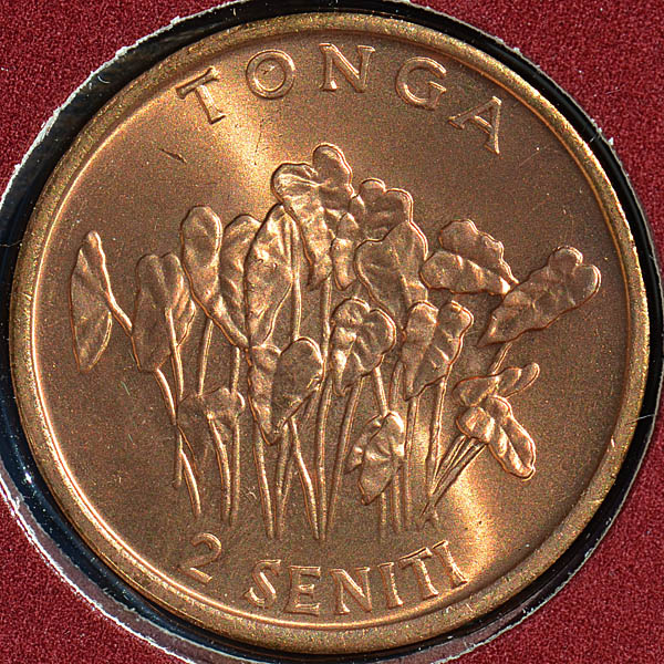File:Tonga 1981 2 seniti rev DSLR.jpg