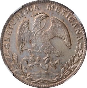 SB523-70384r.jpg