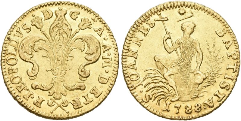 File:Sincona 101-2947.jpg