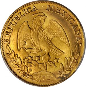 Mexico Stacks Jan15-1276r.jpg