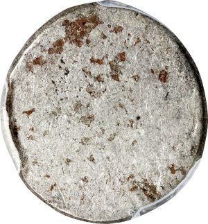 SB1122-74381r.jpg