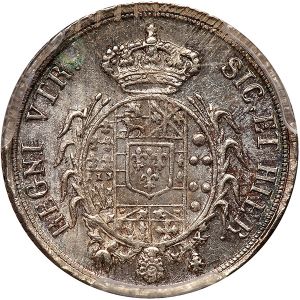 Naples G84-4435r.jpg