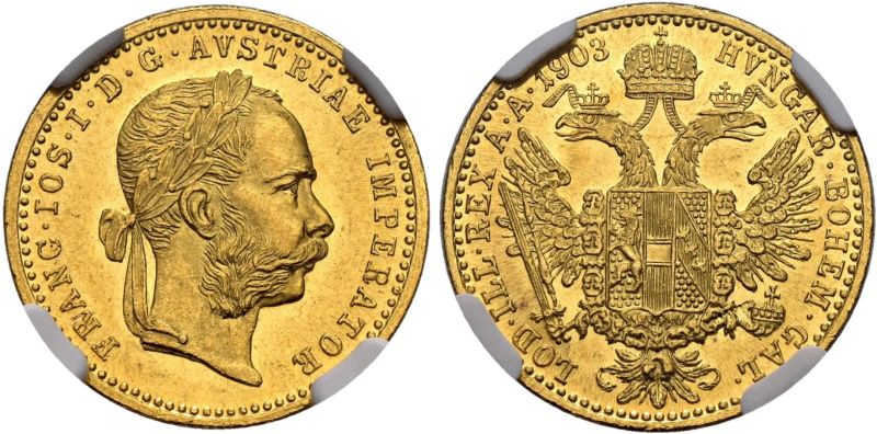 File:Sincona 101-3410.jpg