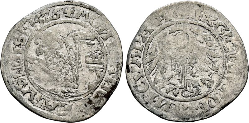 File:Sincona98-4356.jpg