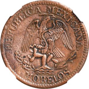 SB224-73509r.jpg