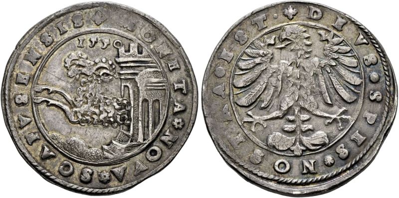 File:Sincona91-3412.JPG