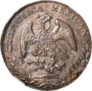 SB1123-70767r.jpg