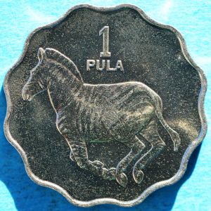 Botswana 1981 pula rev DSLR.jpg