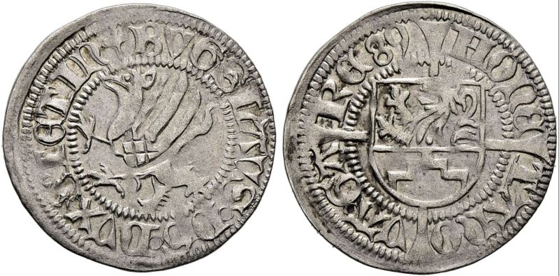 File:Sincona90-1072.JPG