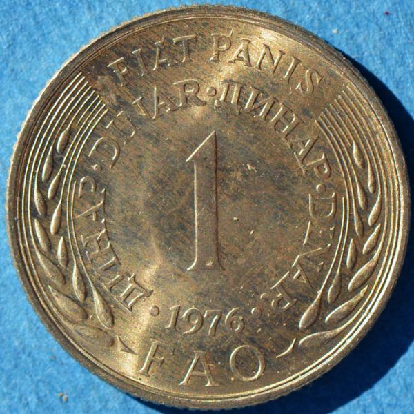 File:Yugoslavia 1976 dinar rev DSLR.jpg
