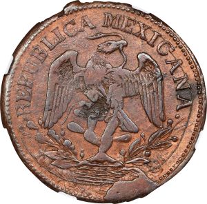 SB524-34315r.jpg