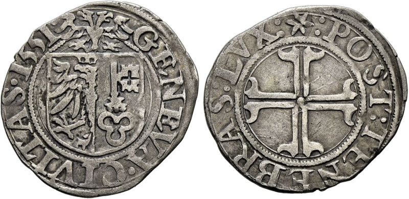 File:Sincona90-2538.JPG