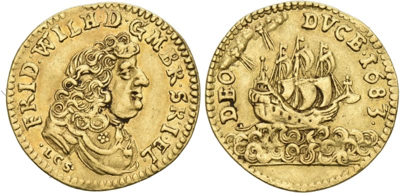 File:Sincona 100-1026.jpg