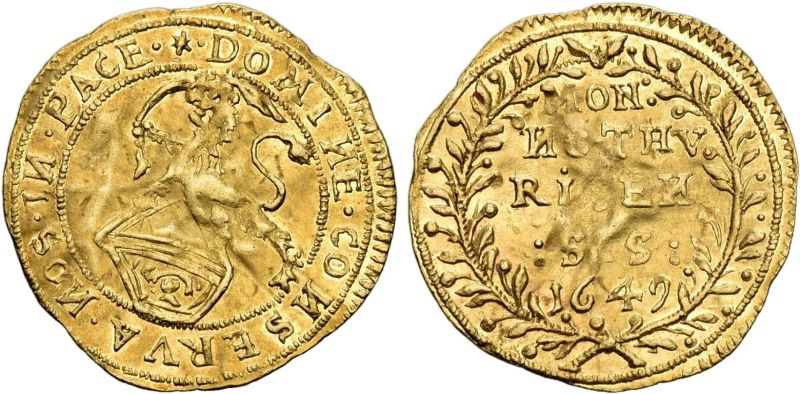 File:Sincona98-4628.jpg