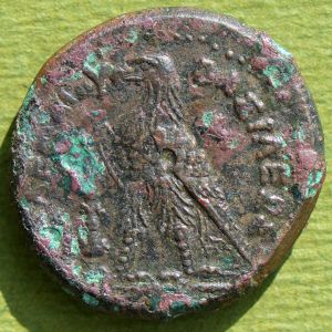 Egypt pix 19r.jpg