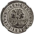 Thumbnail for version as of 02:51, 13 February 2021