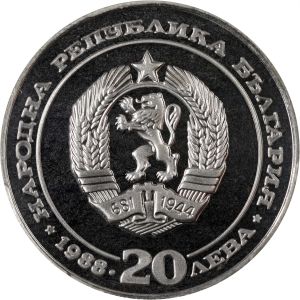 SB222-73262r.jpg