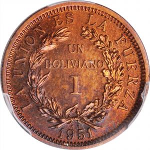 SB1020-71136r.jpg