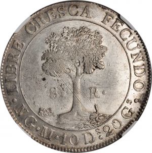 Guatemala Stacks Jan15-1125r.jpg