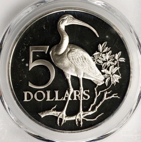 File:SB1125-78614c.jpg