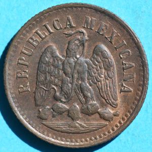 Mexico 1895Mo centavo rev DSL.jpg