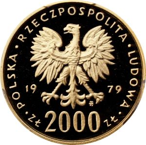 SB126-49188r.jpg