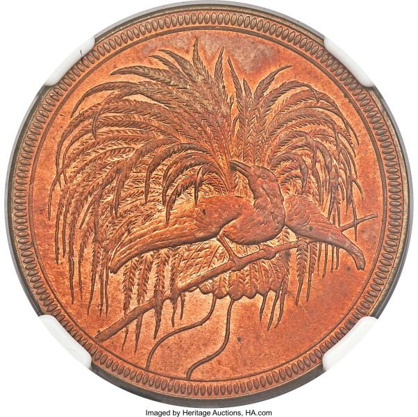 File:Ger N Guinea H3064-30837o.jpg