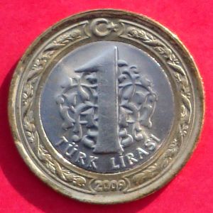 Turkey 2009 lira rev DC.jpg