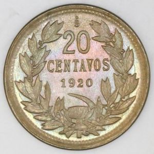 Chile Sedwick 25-1845r.jpg