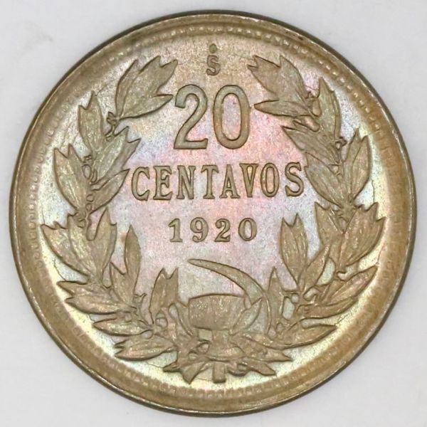 File:Chile Sedwick 25-1845r.jpg