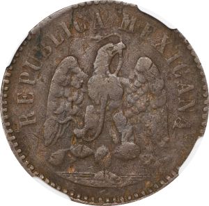 SB1025-71020r.jpg