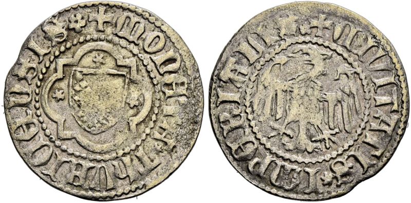 File:Sincona91-3599.JPG