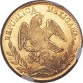 Thumbnail for version as of 10:28, 11 February 2021