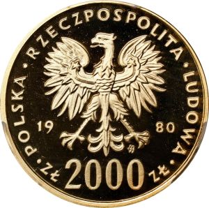 SB126-49190r.jpg