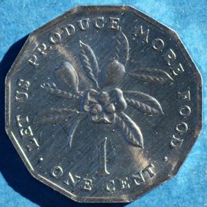 Jamaica 1975 cent rev DSLR.jpg