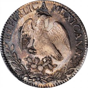 SB121-24223r.jpg