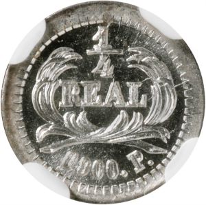 SB222-74242r.jpg