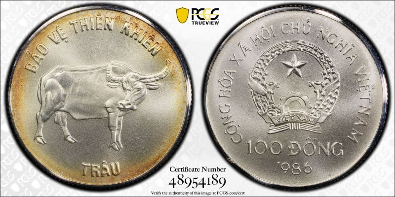 File:SAlb52-3891.jpg