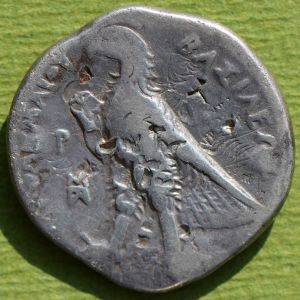 Egypt pix 10r.jpg