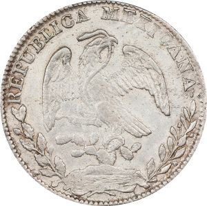 SB224-73163r.jpg
