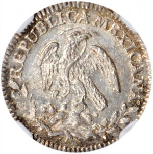 SB1021-71531r.jpg