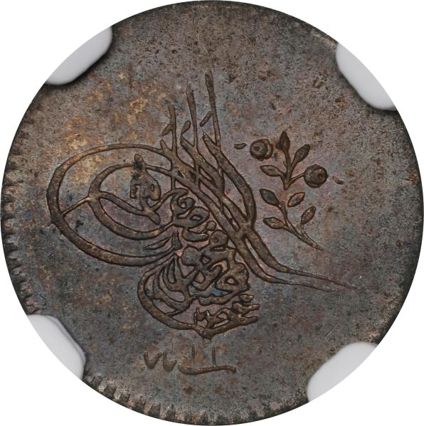 File:SB925-76872o.jpg