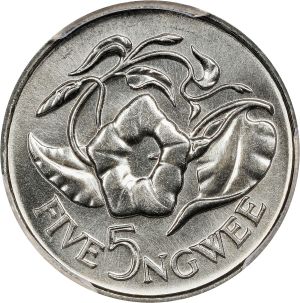 SB1123-74918r.jpg