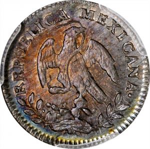 SB121-22058r.jpg