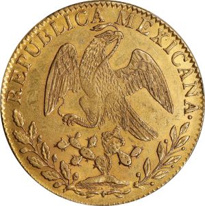 SB0123-21227r.jpg