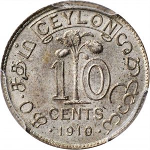 SB1020-71274r.jpg