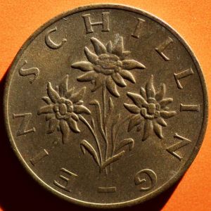 Austria 1973 schilling rev DSLR.jpg